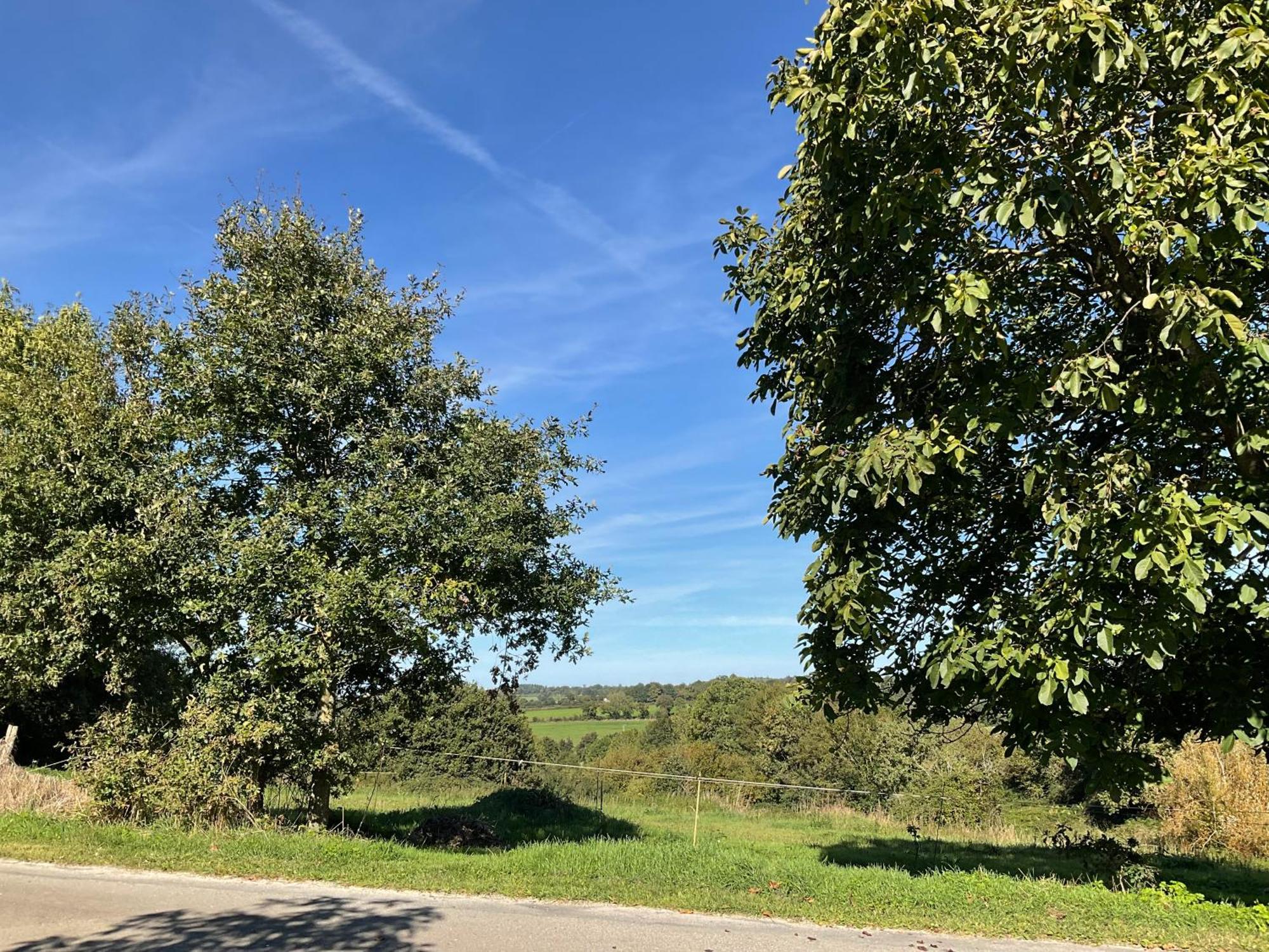 La Brionniere Bed and Breakfast Saint-Pierre-du-Chemin Buitenkant foto